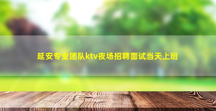 延安专业团队ktv夜场招聘面试当天上班